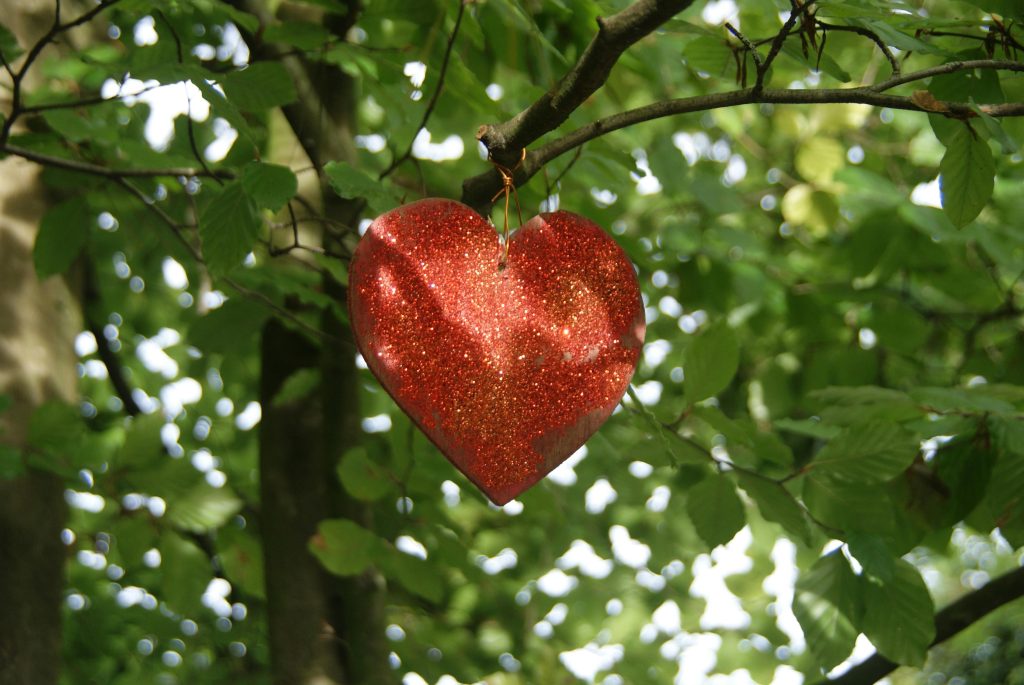 Use Local Plants as Decorations 